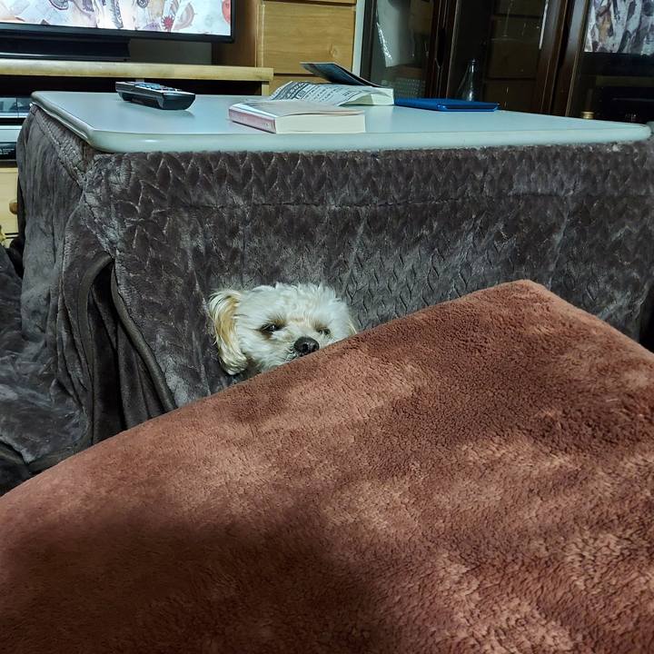 C46bbf67 c3d9 4a2d be40 3a905ca712bd 1647816487057