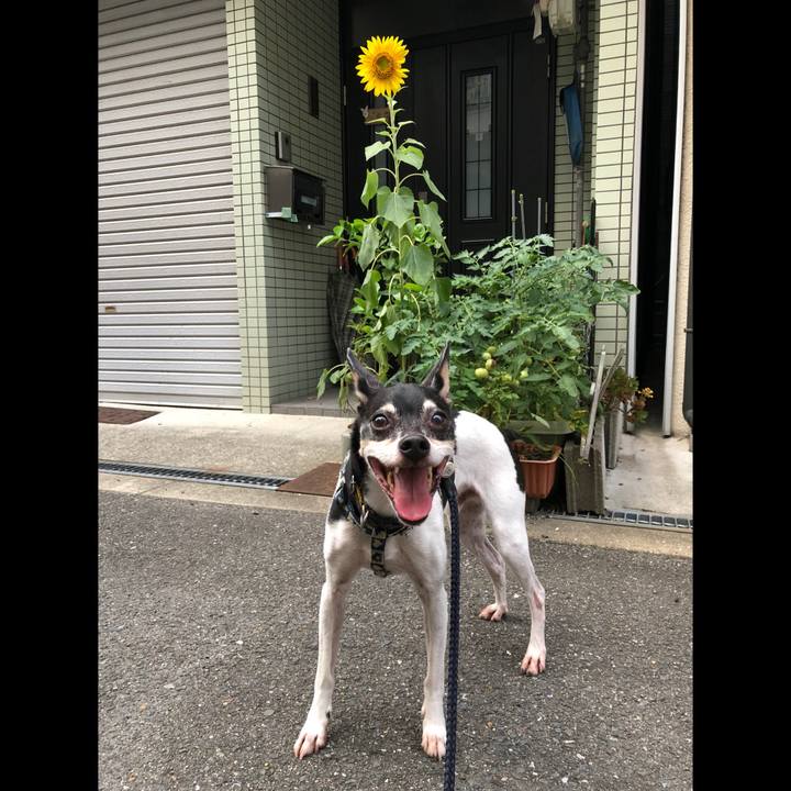 C46bbf98 f58d 4f75 8333 c2817e797daf 1531434947703