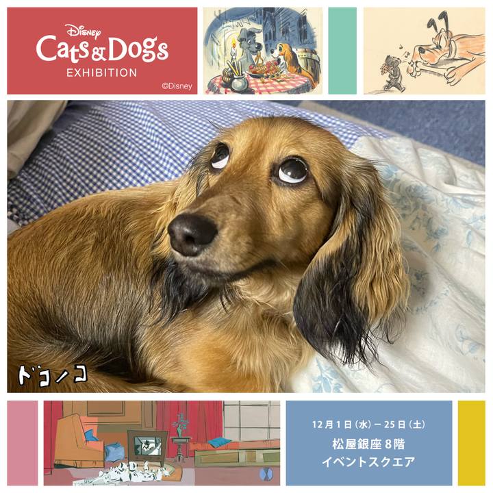 C46c18fb 7aae 4fa1 a45a 7b8383315747 1639456096743