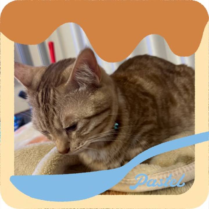 C46c2968 1fe0 4493 a46f 2c513434ff8d 1686916581829