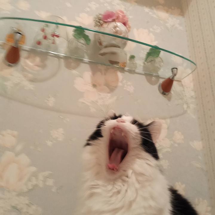 C46c8841 e15e 4904 9d73 1f909b198a4f 1669033114765