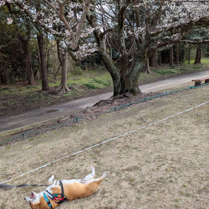 C46c9485 c18b 4f05 be5f 3666dc342d87 1774580244601