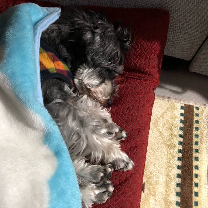 C46cbc82 af04 4c19 9774 ad5d073aa643 1644411228230