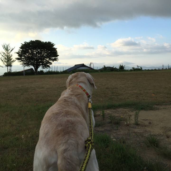 C46cbeac 09c0 4474 ac5a c23cb61336a2 1533290074878