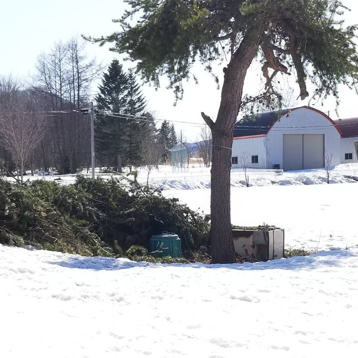 C46ce342 823b 49b0 b677 a369eff11554 1585654824428