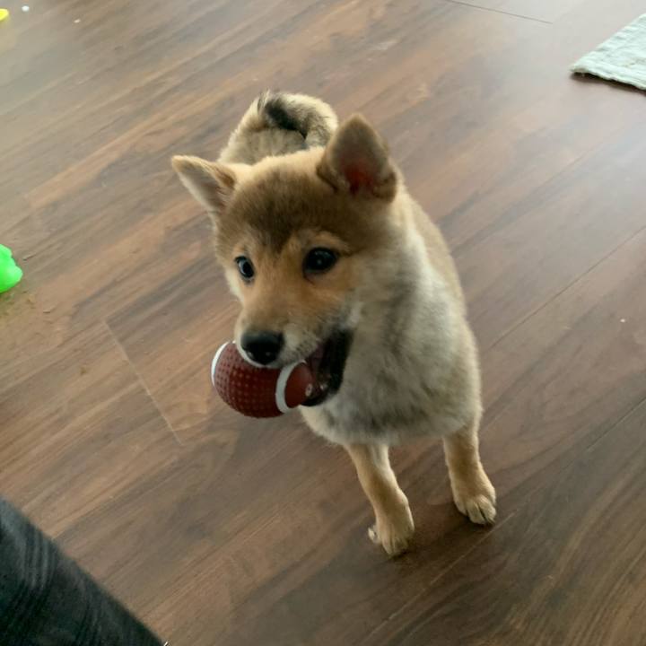 C46d2b46 2eb5 4ccb aa9c 8cee3eafb828 1618714262606