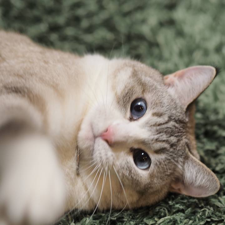 C46d4fdc 8cf0 4839 b339 fe080474ca1b 1612681179334