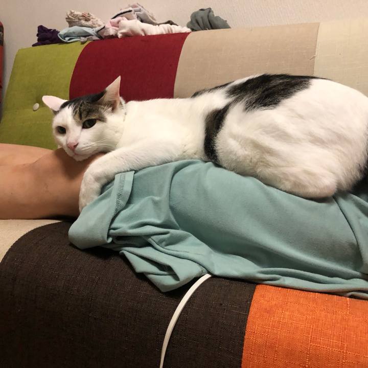 C46d5235 8ad8 4cea a2a1 8417a5731041 1567076687015