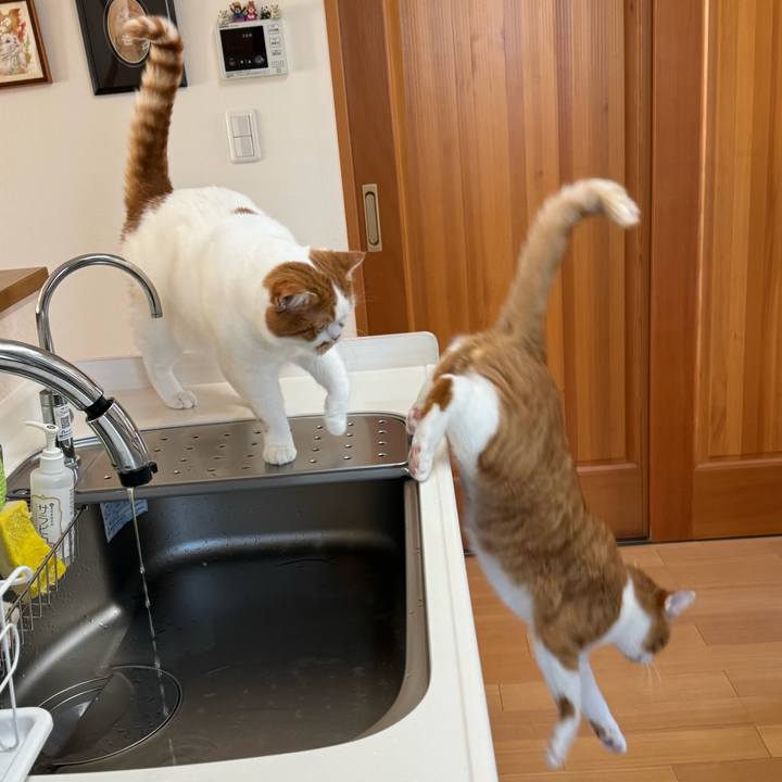 C46d7144 d927 4918 871d 061d0e53ec63 1764126313595