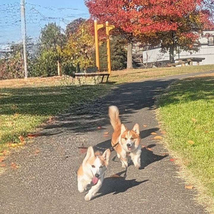 C46d72d8 47b4 4f37 9c94 4d15089e7745 1763253499374