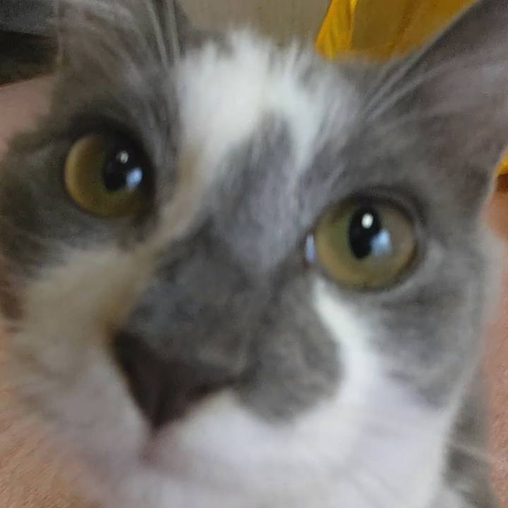 C46d89cc fc3e 4291 9067 c3cdd0e17fae 1569969531470