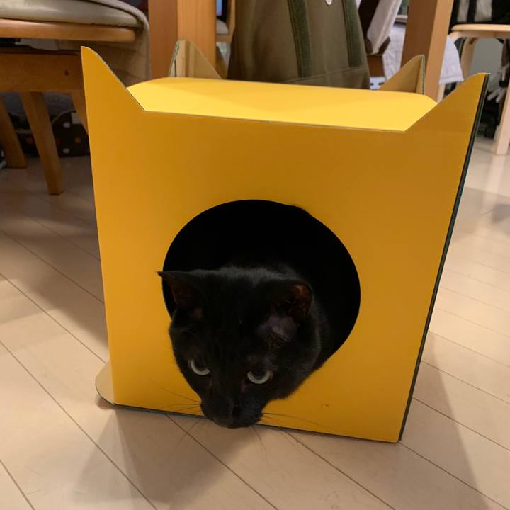 C46d8bac a41b 4c38 b73a a7ac52ec71a4 1749347412291