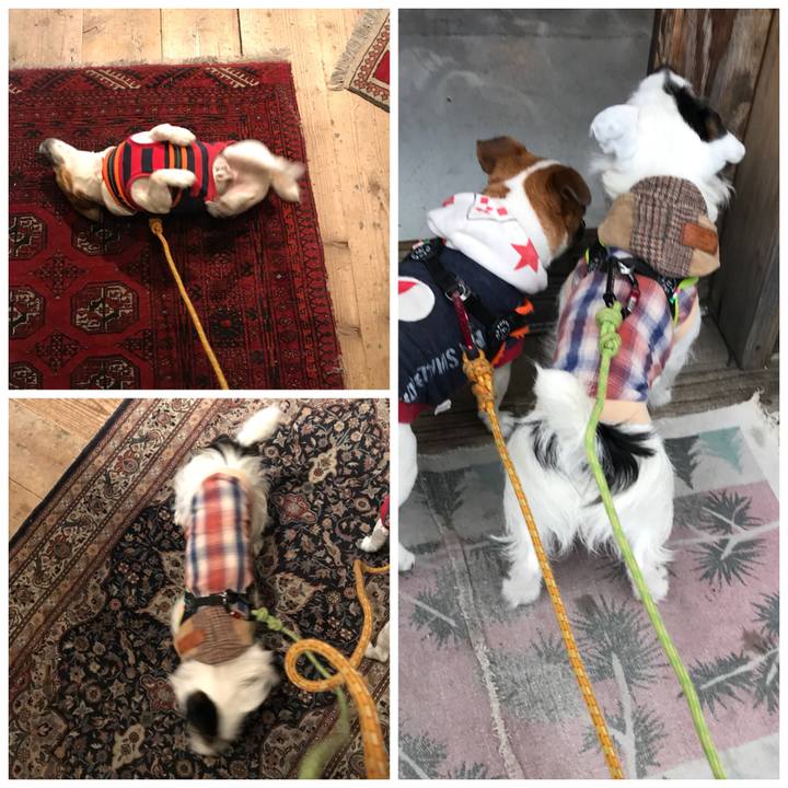 C46d9549 ecf8 4399 8dda 796cddf7d249 1523174737480