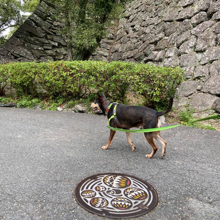 C46da47c c294 4409 865d d9b3457d680d 1603881350349