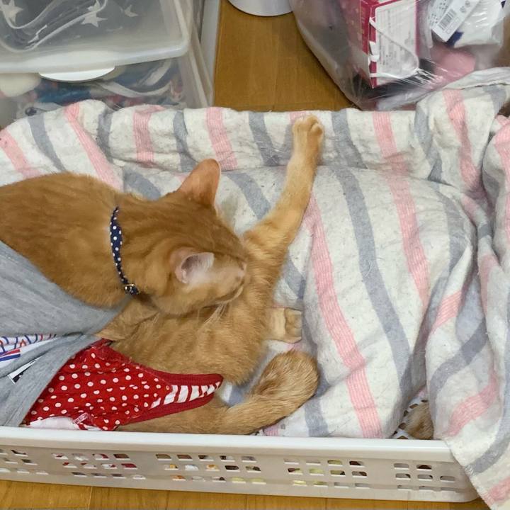 C46e0b7b 7989 49c5 bcec c9bb51e2afeb 1614256482869