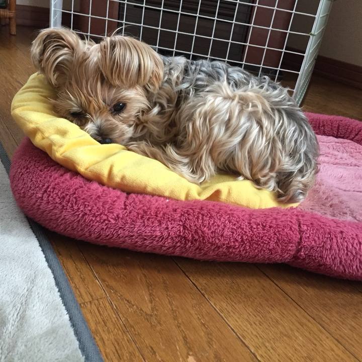 C46e1b6c 50e8 432c a63e 665f8cd4103a 1540891477931