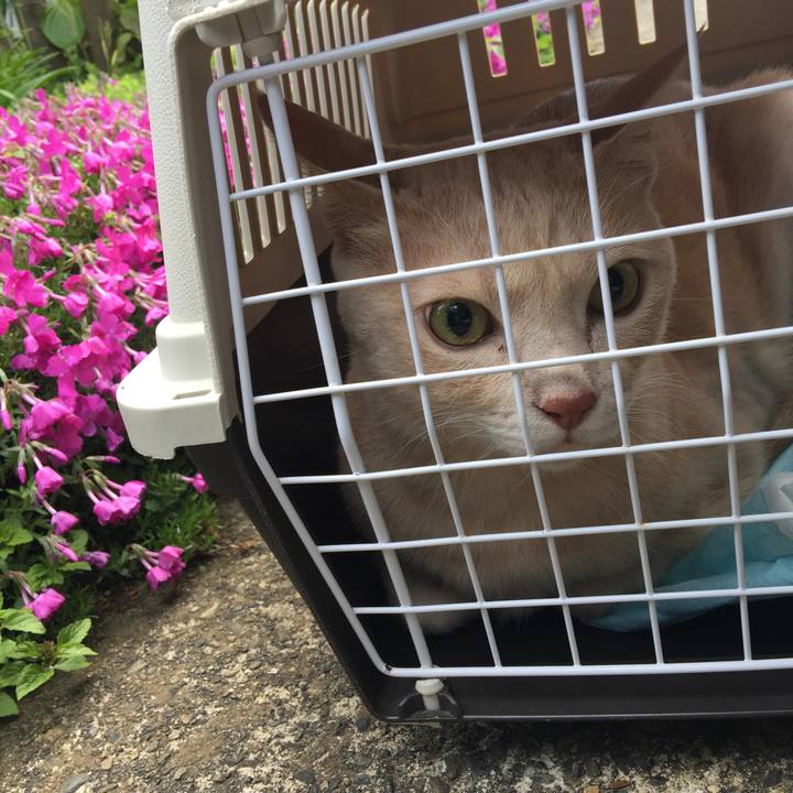 C46e2cf1 5d3f 4426 85fd d2b8b04b3e78 1651471273680