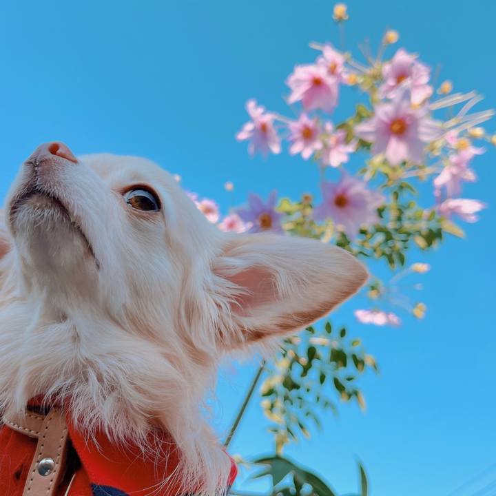 C46e641a 933a 4b2b 833b cf6844ac713b 1670485422462