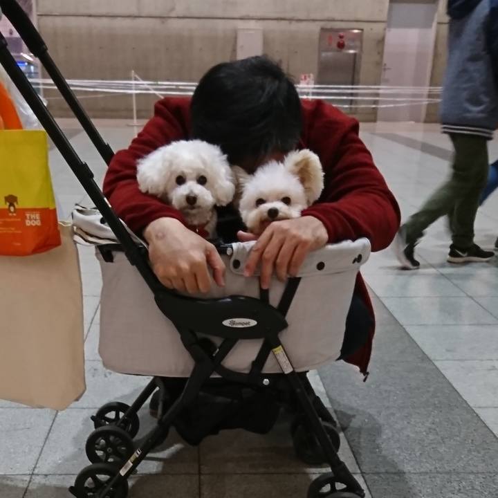 C46f0693 9c28 4eb5 b249 6aeee61bdd90 1549122622122