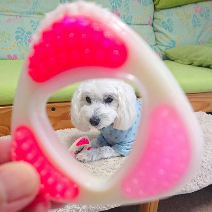 C46f4186 dda6 4c32 86f7 0e1c80b26262 1509165912315