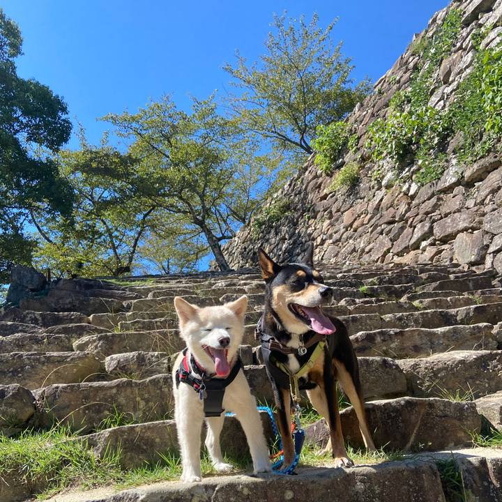 C46f93a2 acde 4650 a3bd 901dbb96dc05 1727397028960