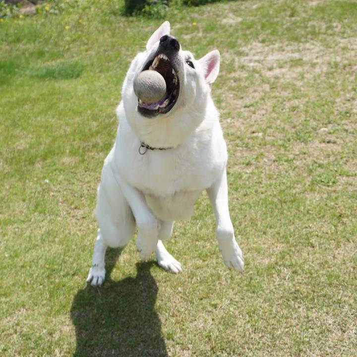 C46fa6cb d33b 4eff 9c56 9faa48067aa7 1525669778634