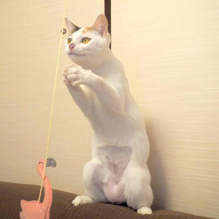 C46fdc3b 6153 411b 8ca5 512c8dfa45bc 1556753797548