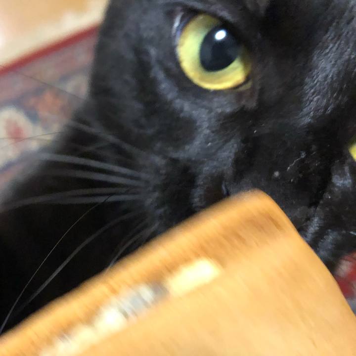 C46ffa7d 594d 4594 88a6 fb3b0e12255a 1544757628016