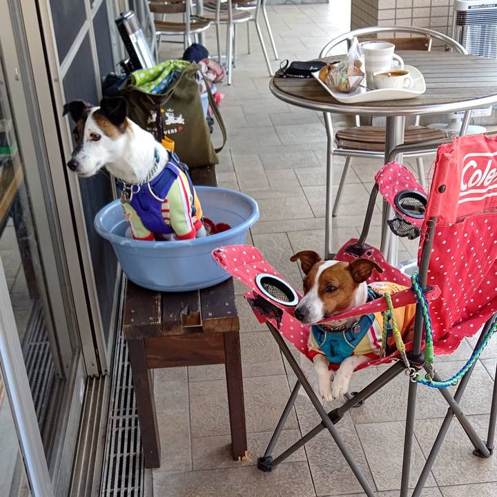 C470035c 8d93 4ae8 884e 242d232e65a3 1616556027837