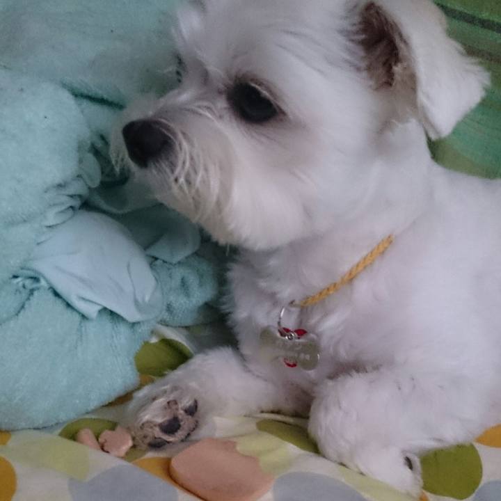 C4700a69 c6e5 428b ba92 db8095690d0f 1507689431766