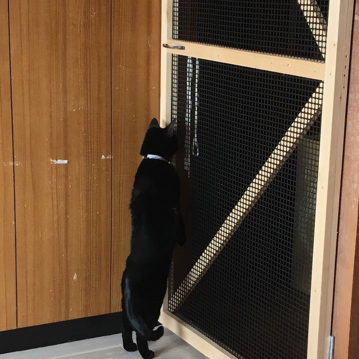 C4702730 2c26 4301 bf31 0a4c6b2e9921 1517733535605