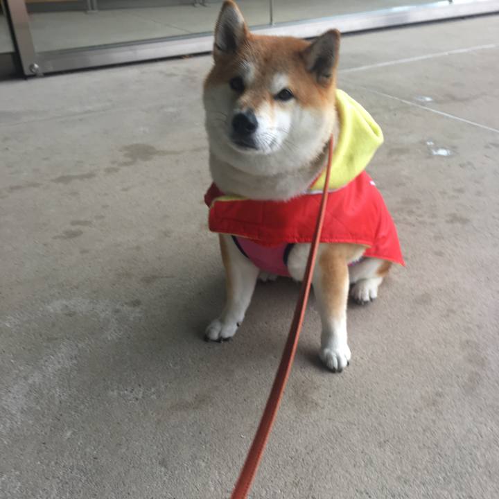 C4705ea2 a3f3 4079 90a3 e206f4d3ed44 1574490020733