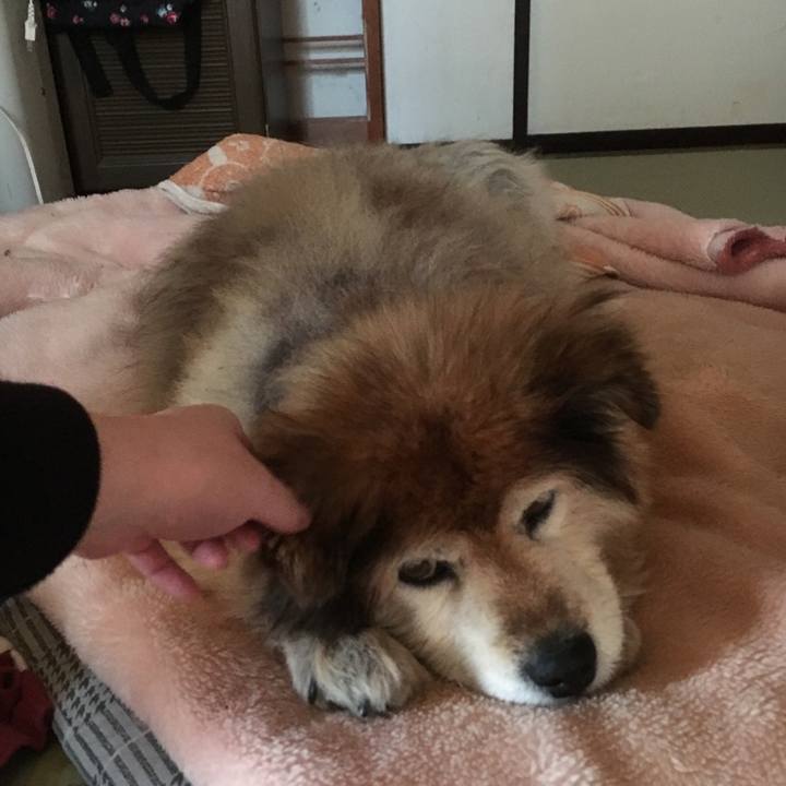 C470890f 5d6c 4761 9915 8d1c43b5814d 1576803200524