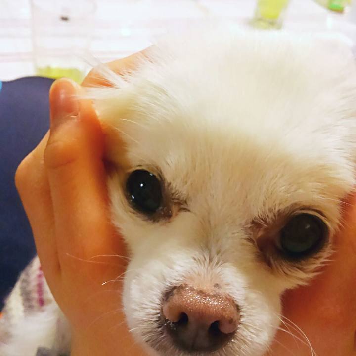 C470afc7 6118 4c86 8f42 f1b8ce264c9c 1521461770494