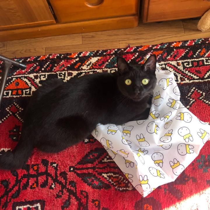 C470b1b9 c2f2 4d3e 8aaa 89c2e97609d1 1634718070908