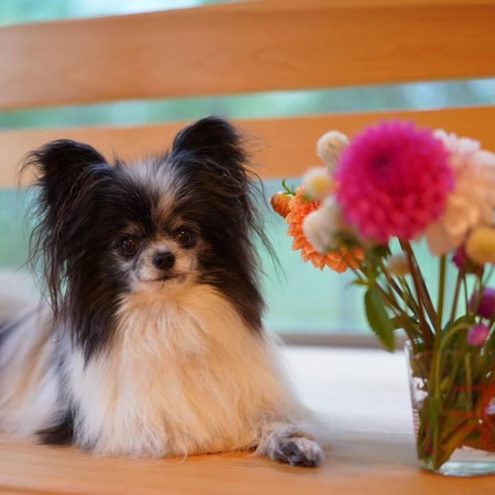 C470c860 2509 4a9e 9579 9c6337b82453 1696196476670