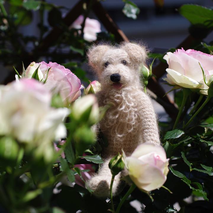 C471072d 5ca7 4cff 9a97 4031d3a2ae78 1589499069041