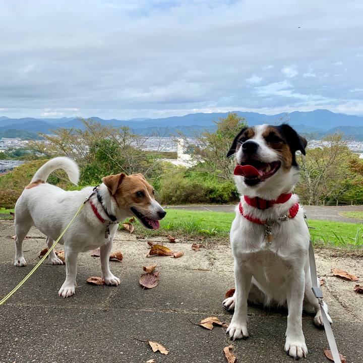 C4711106 547c 4be5 a136 861d6c9753f1 1569722537872