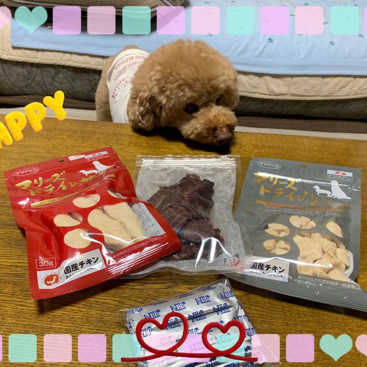 C4713046 e19a 4d86 9b7e 8a97ff799cbf 1546852506528