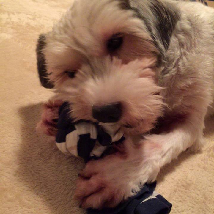 C471573f 7034 4845 81ec de80f34e4af2 1536142463647