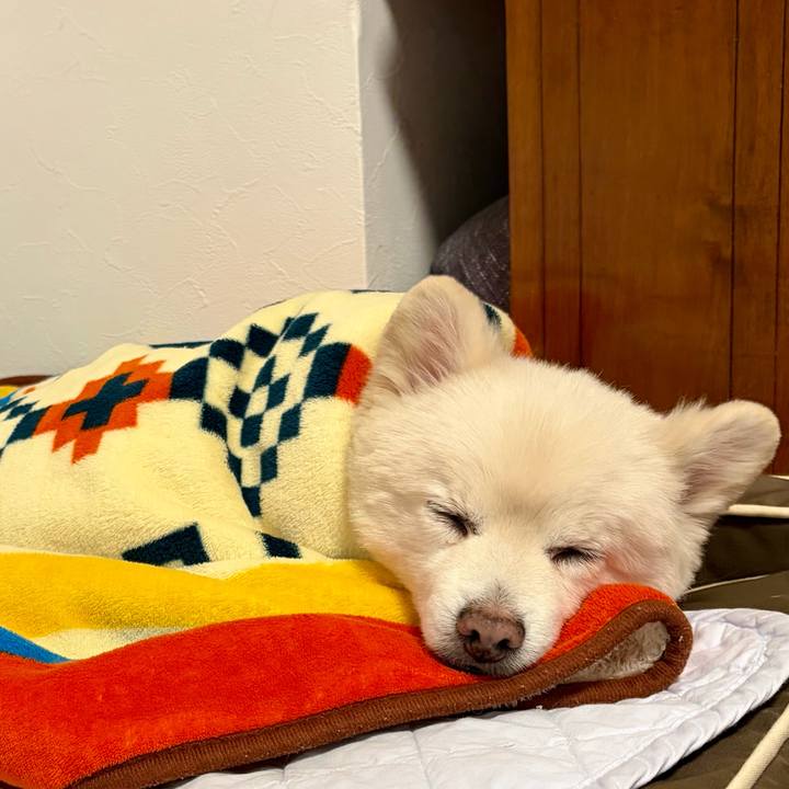 C471af2f f18a 48c7 961c f967a7bfd8b4 1762609551009