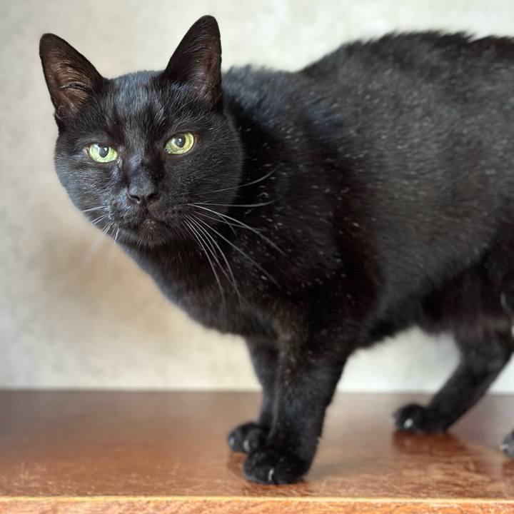 C471e959 098a 43ff 9138 79753a50f01b 1673054940566