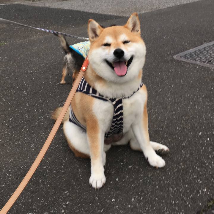 C4721103 bee1 4f54 a323 171184d3558f 1563530478798