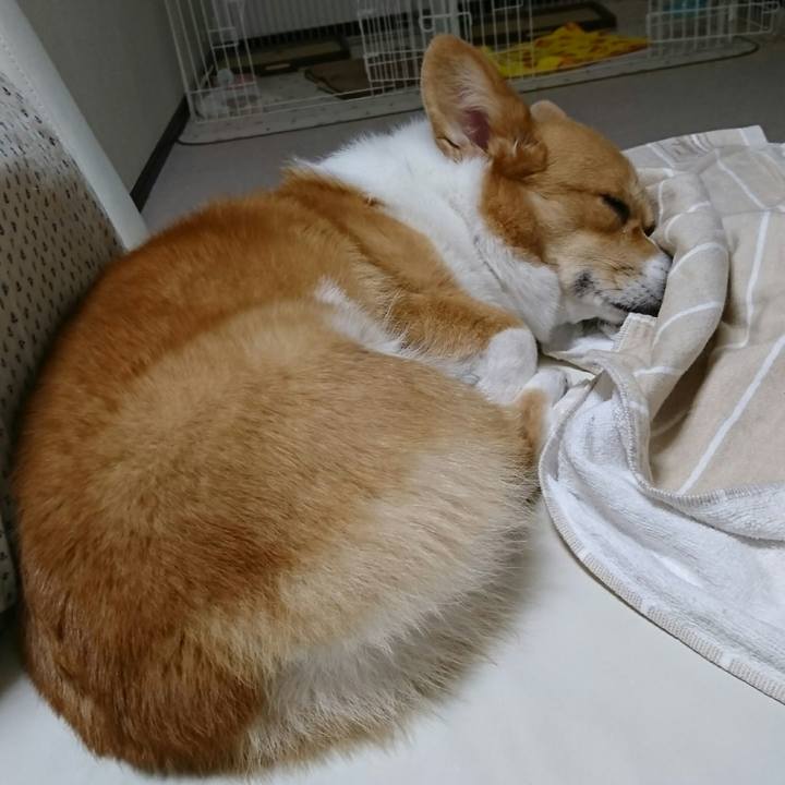 C4723536 2b98 49cb b14c 57842776195d 1512893092183