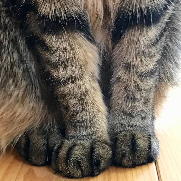 C47289b9 e3e5 4191 90f3 cc4e0e63d6be 1518227527708