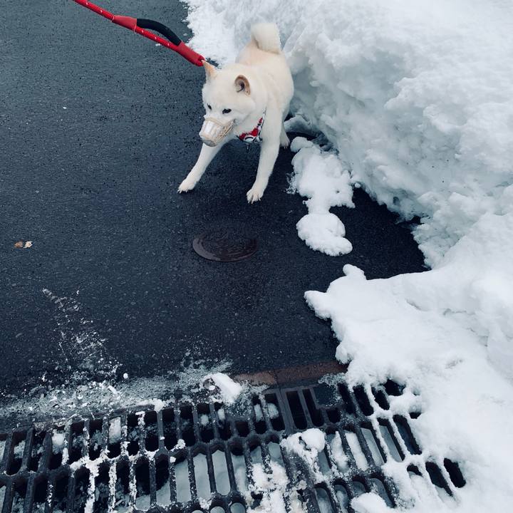 C4728e0a 3010 41f6 bfee 0d43c67bace9 1677364578845