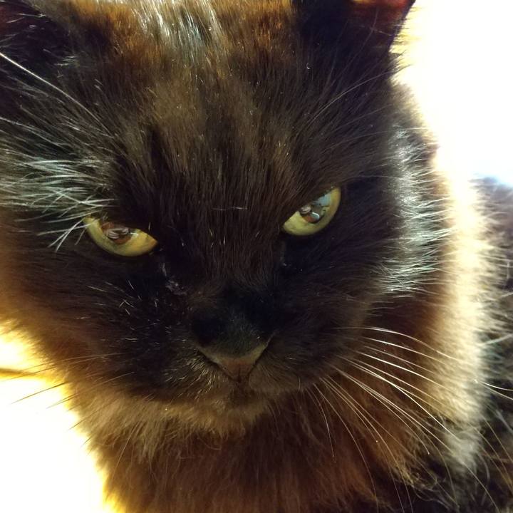 C472a3b8 429b 47b5 8d8b f02f500353d9 1613899449639