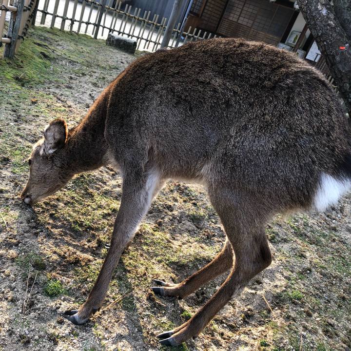 C472adc3 afb4 4ec3 945e c11f81f90697 1607756701934