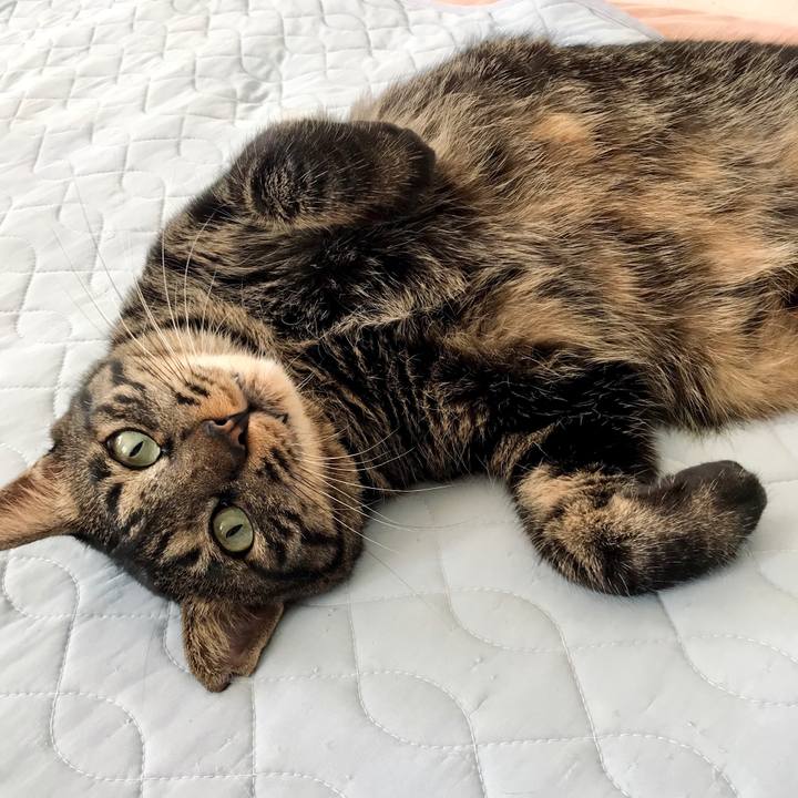 C4730f87 1055 43c7 a8e0 123c20920bd4 1601272231570