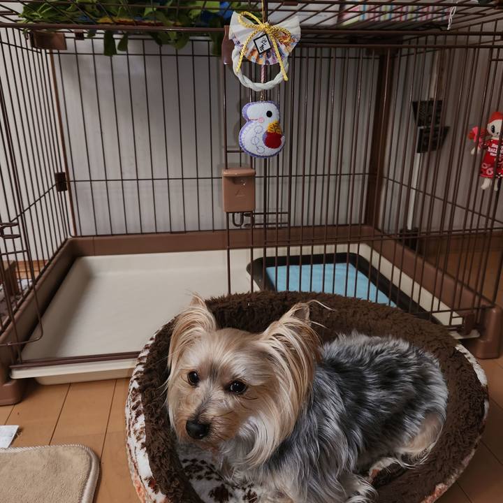 C47336c2 3509 4c94 a37c 7744852350a4 1735689633263